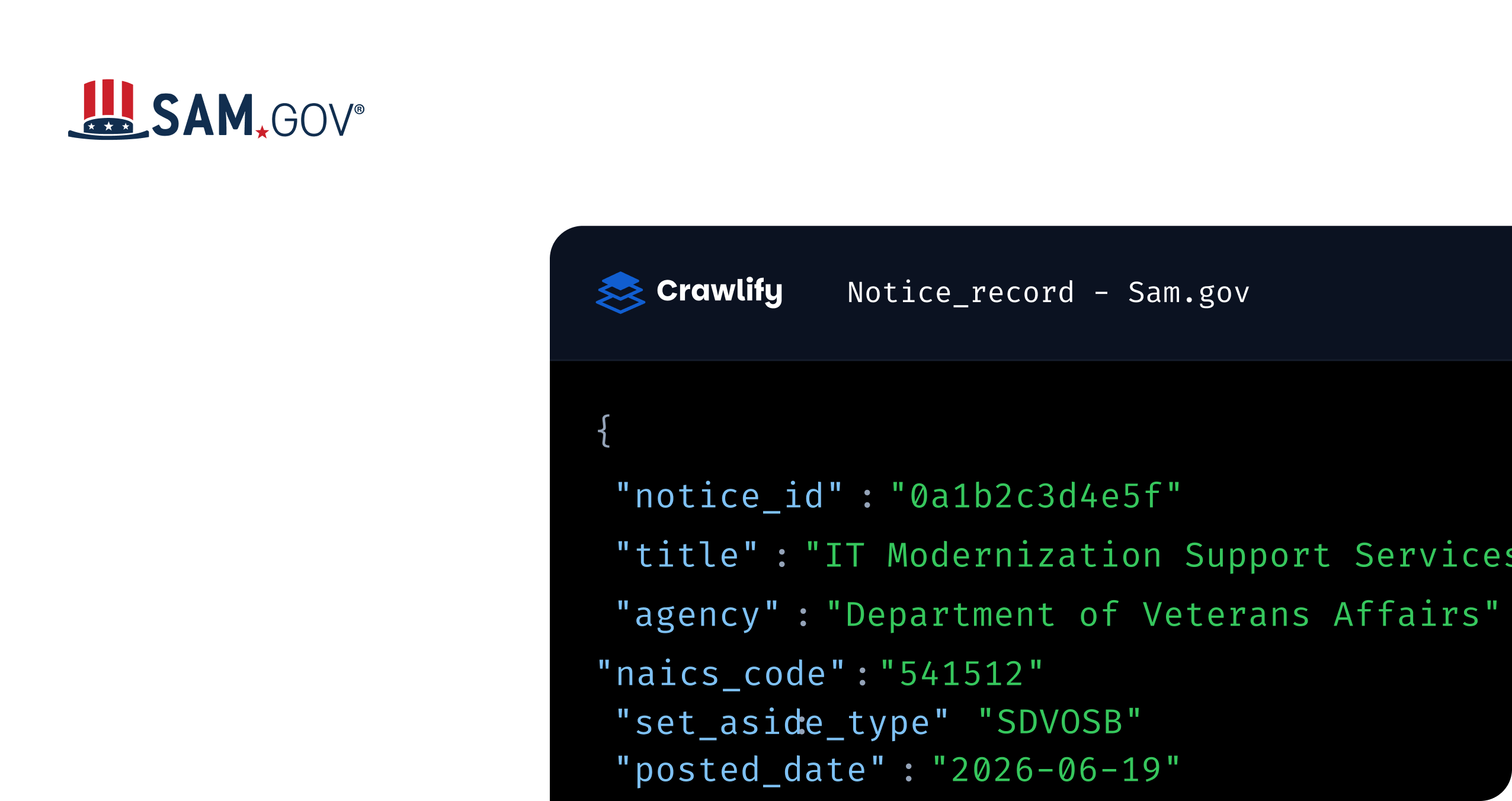 A SAM.gov notice_record shown as JSON — notice ID, title, agency, NAICS code, set-aside type and posted date — beside a panel of delivery formats